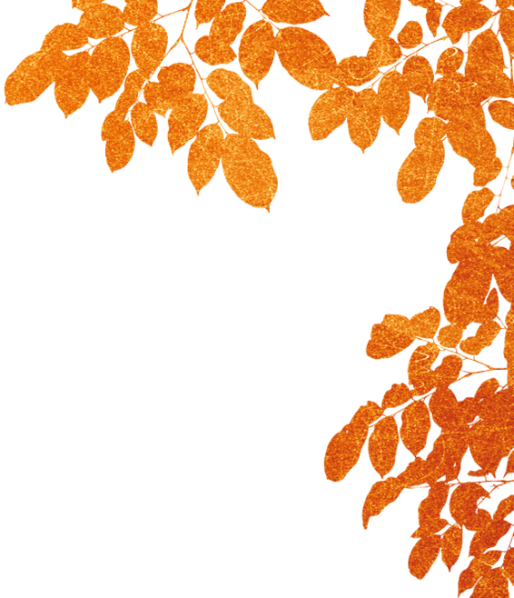 Border leaves decoration